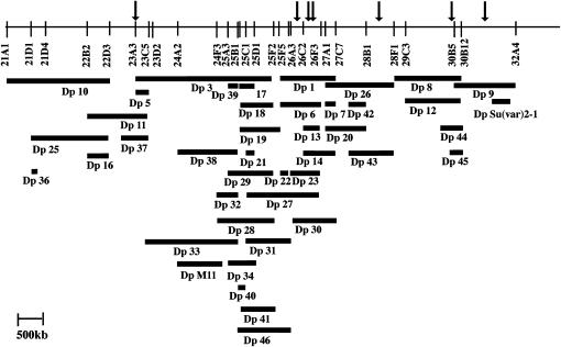 Figure 7.—