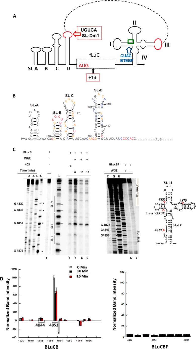 FIGURE 5.