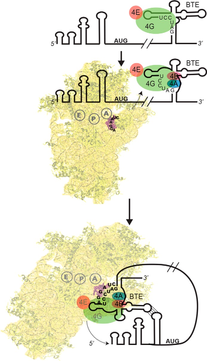 FIGURE 7.