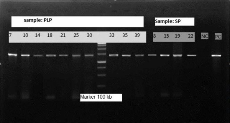 Fig. 1: