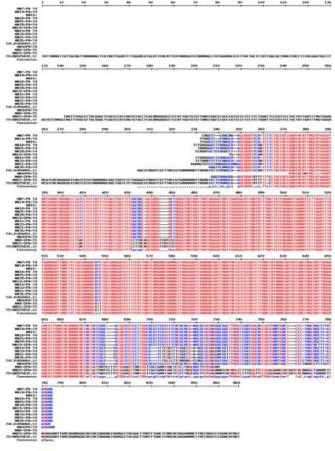 Fig. 4: