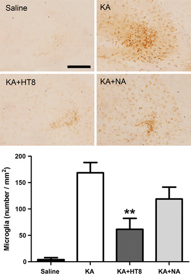 Fig. 2