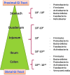 FIG. 1.