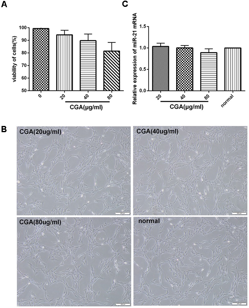 FIGURE 1