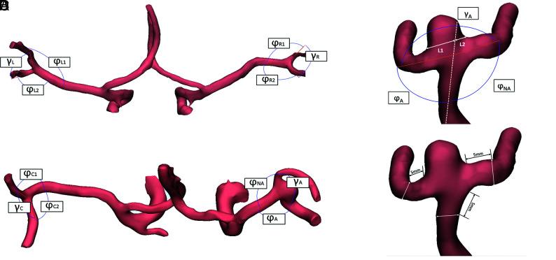 FIG 2.