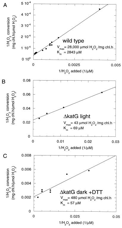 FIG. 5