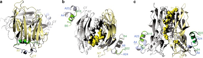 Fig. 6