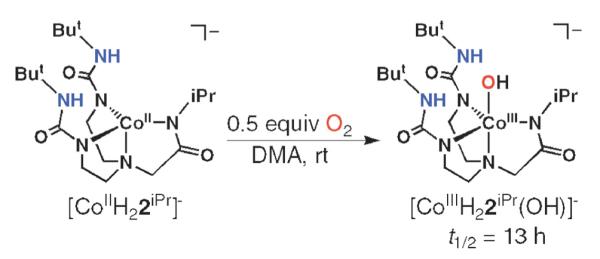 Scheme 5