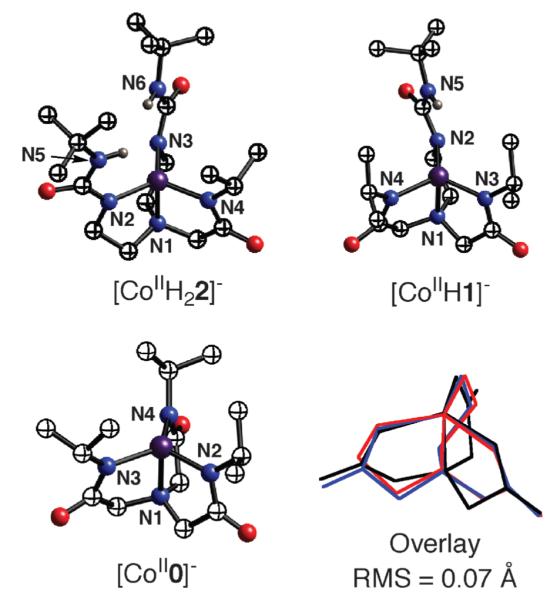 Fig. 12