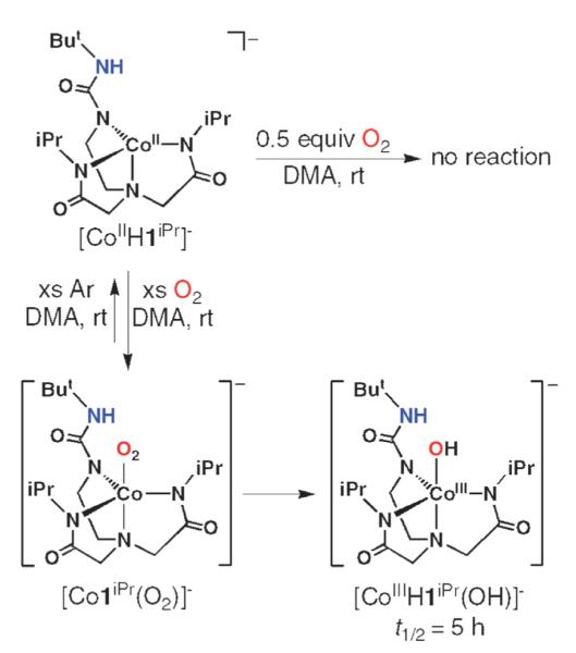 Scheme 6