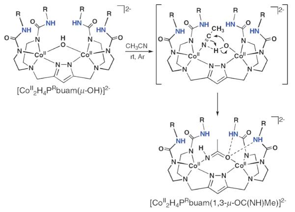 Fig. 15