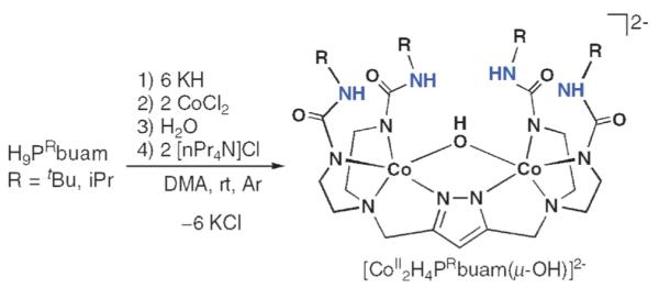 Scheme 10