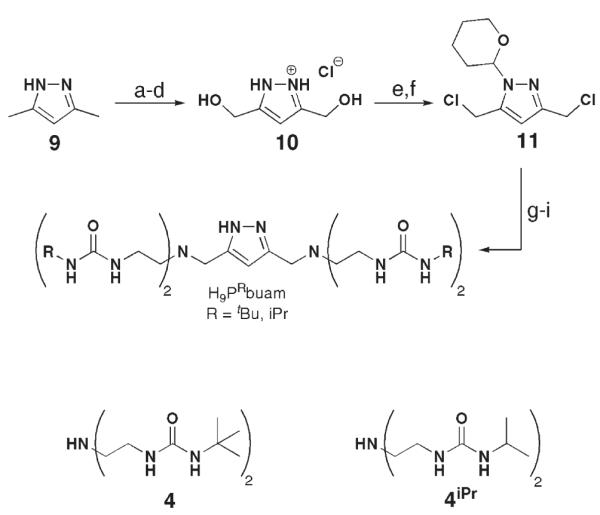 Scheme 8