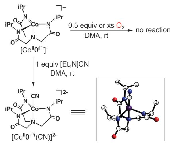 Scheme 7