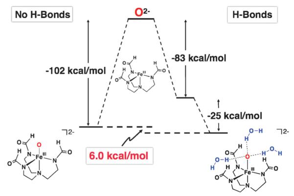 Fig. 9