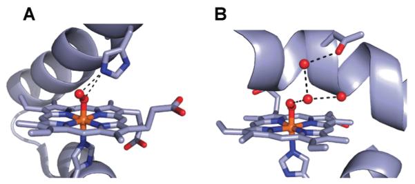 Fig. 10