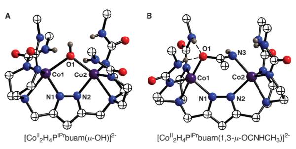 Fig. 14