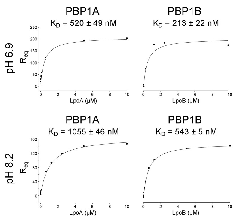 Figure 5—figure supplement 4.