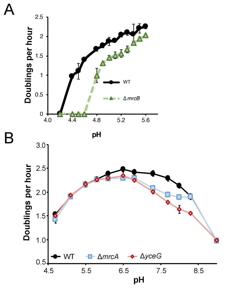 Figure 1—figure supplement 3.