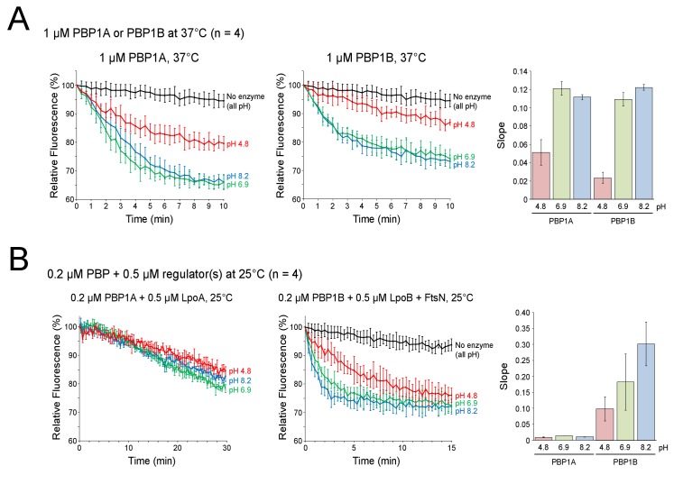 Figure 5—figure supplement 3.