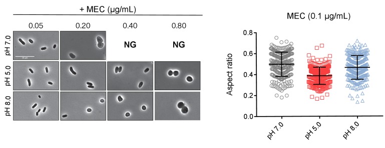 Figure 6—figure supplement 2.