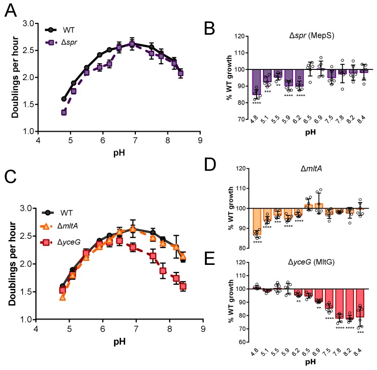 Figure 1—figure supplement 2.