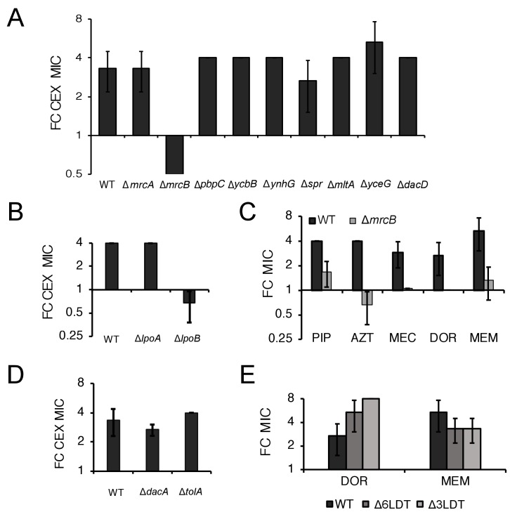 Figure 6—figure supplement 4.