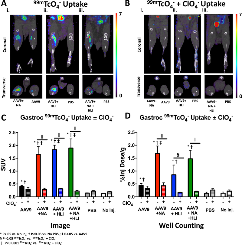 Figure 4: