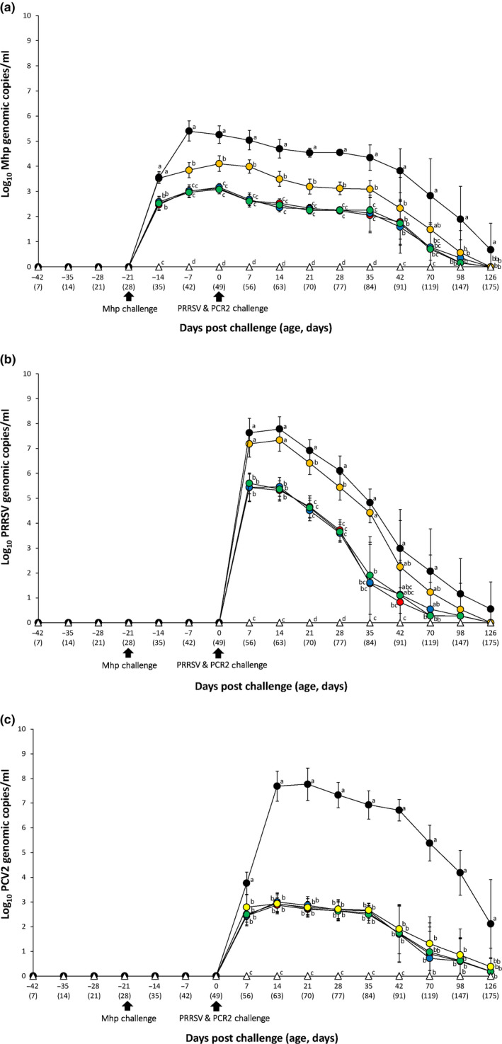 FIGURE 3