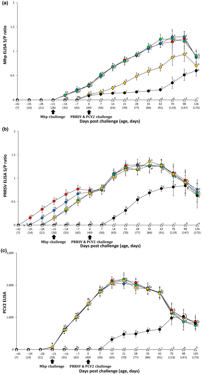 FIGURE 4