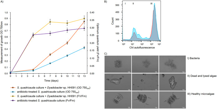 FIG 2