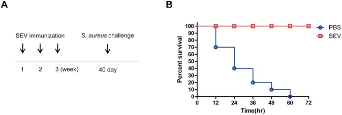 Fig 7