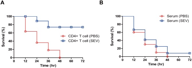 Fig 5