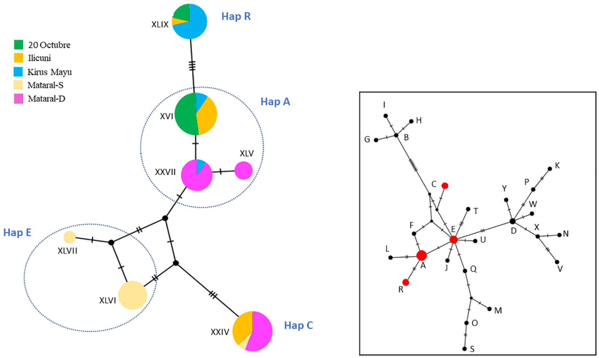 Fig. 4.