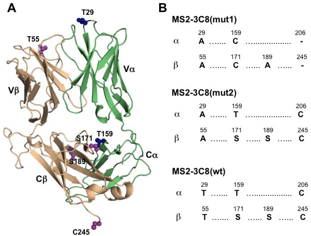 Figure 2: