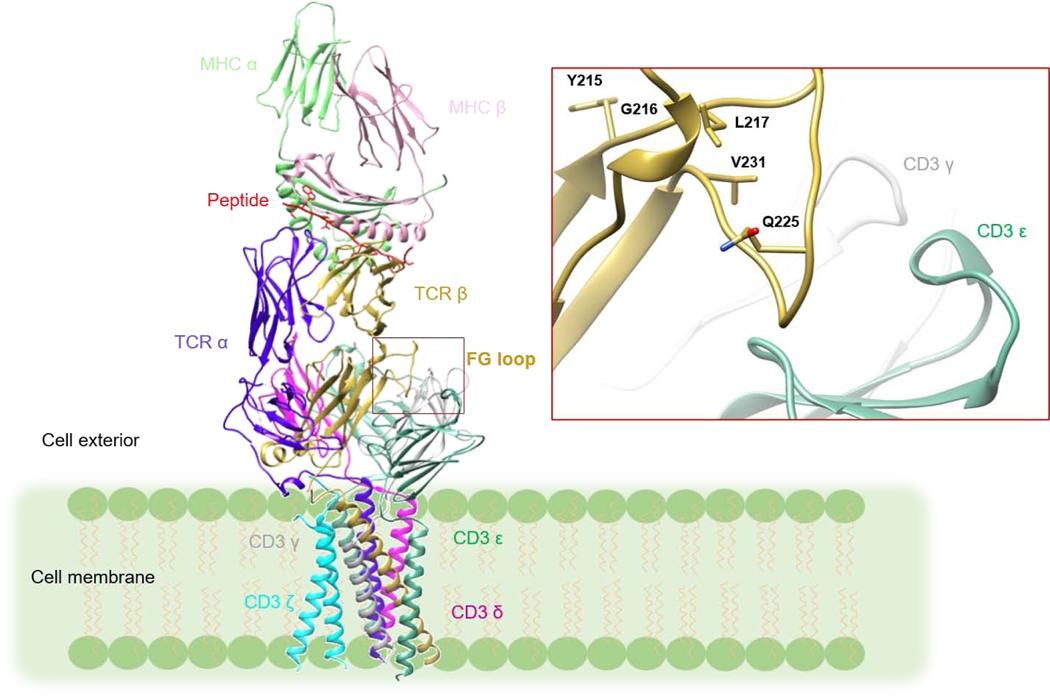 Figure 1: