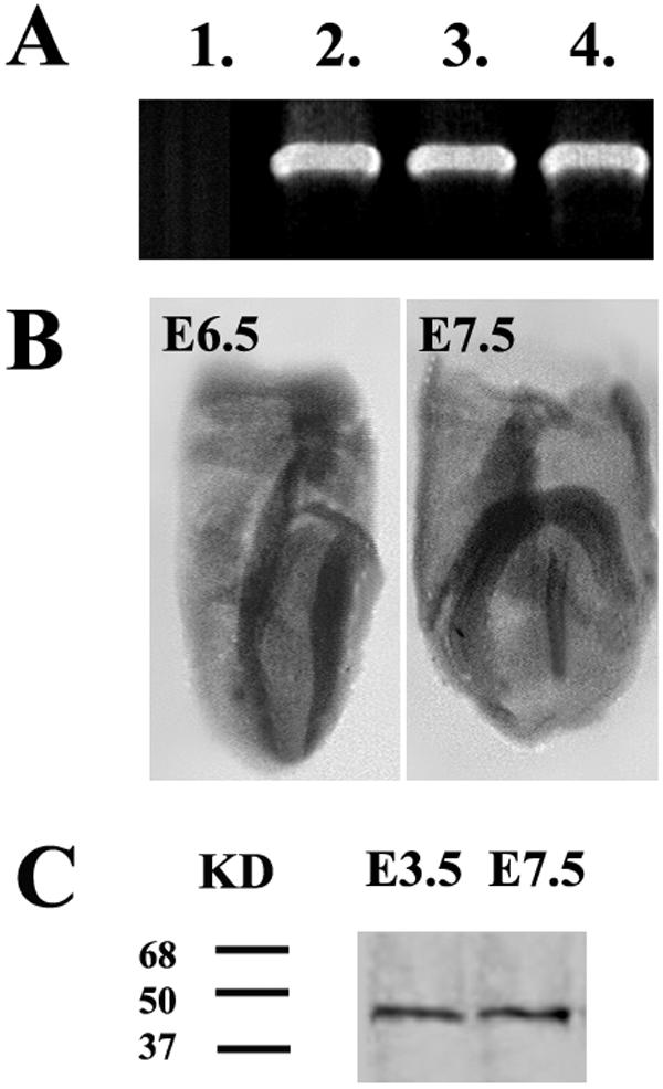 FIG. 4.