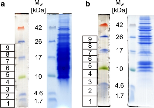 Fig. 2