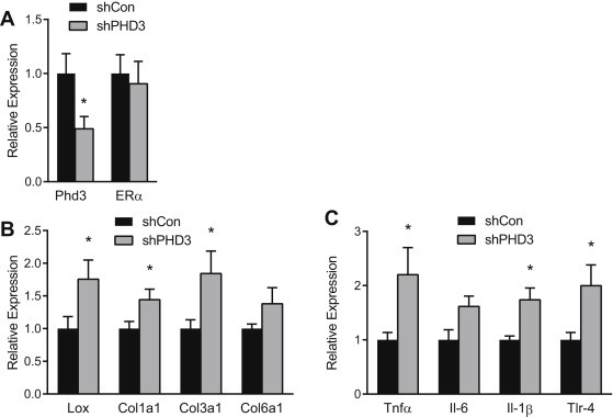 Figure 6