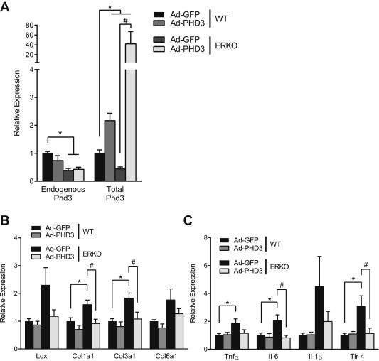 Figure 5