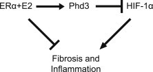 Figure 7