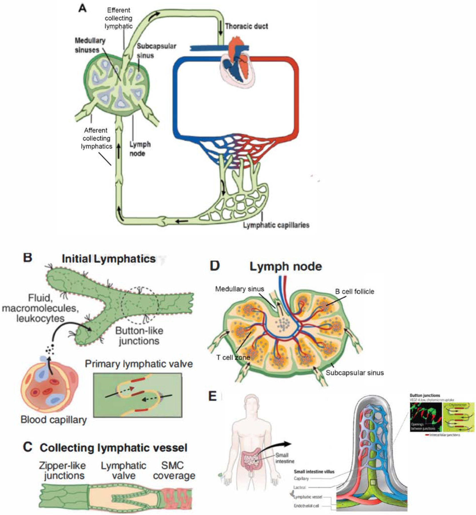 Figure 1: