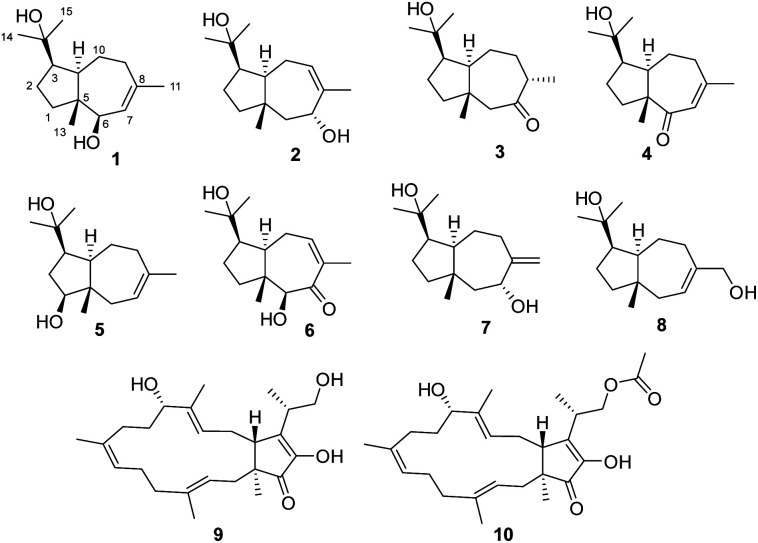 Fig. 1