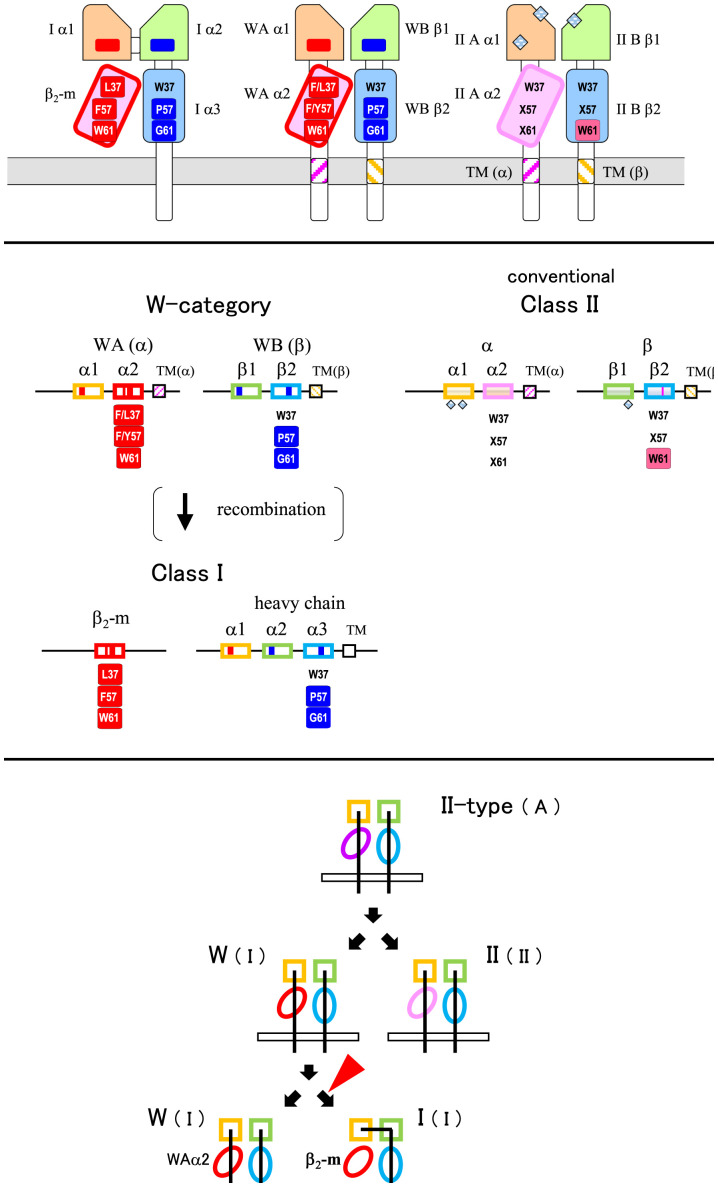 Fig. 8.