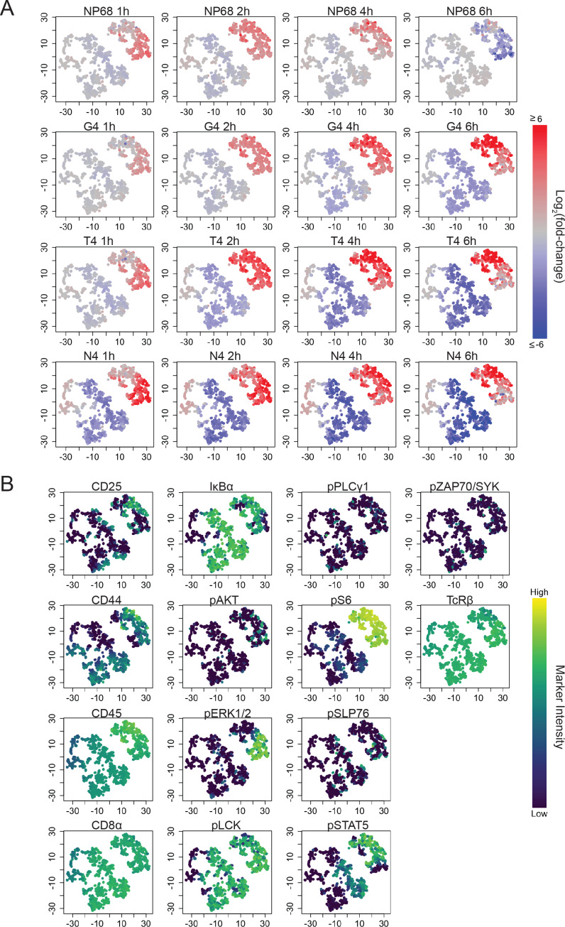 Figure 4—figure supplement 1.