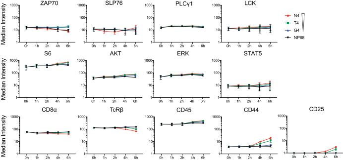 Figure 3—figure supplement 1.