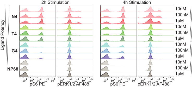 Figure 2—figure supplement 1.