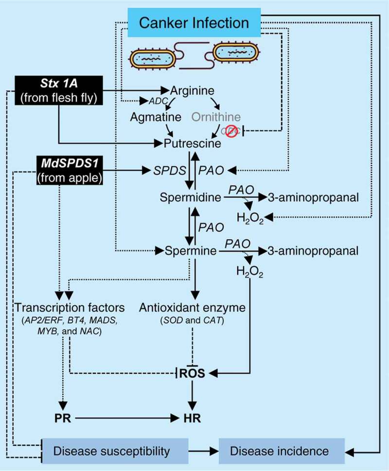 Figure 6.