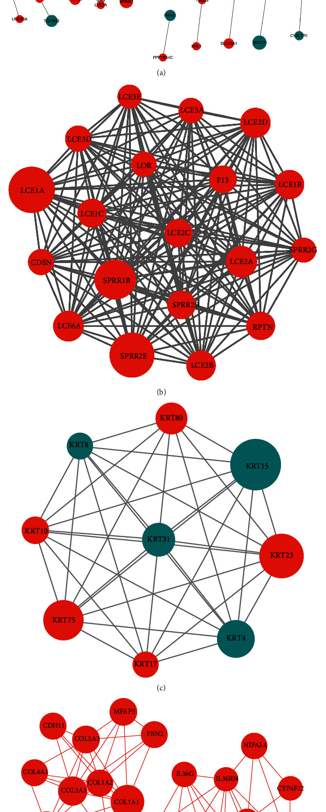 Figure 6