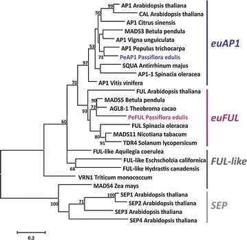 Fig. 4